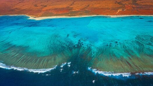 Ningaloo Reef, Hamelin Bay, Australia