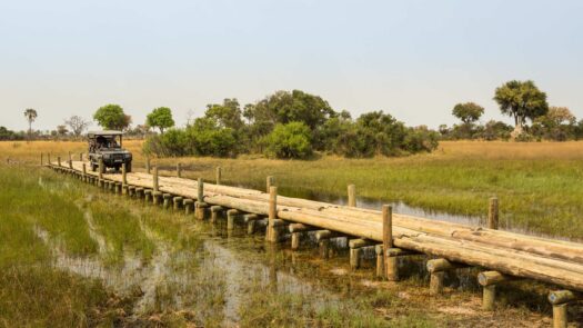 Bridge to Abu Camp Okavango Delta