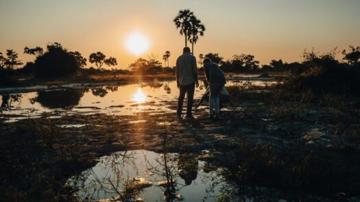 Walking safari Okavango Delta