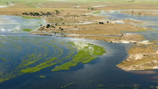 Aerial view over Chobe National Park, Okavango Delta, Botswana