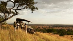 A safari vehicle with guides and travellers inside parked in the sun-drenched grasslands of Singita Grumeti, Tanzania