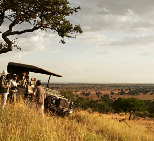 A safari vehicle with guides and travellers inside parked in the sun-drenched grasslands of Singita Grumeti, Tanzania