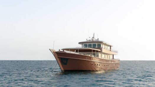 Dhow Ibra on dolphin watching tour