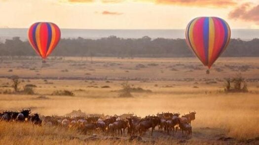 hot air balloons over the Masaai Mara