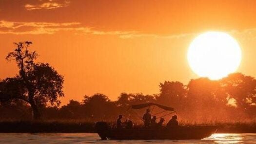 Sunset boat cruise on the chobe river