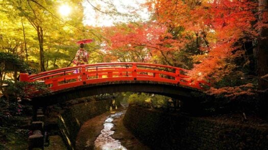 Traveler in Kimono on traditional japanese bridge in autumn