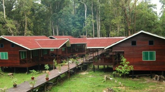 Abai Jungle Lodge exterior view, Sandakan, Borneo
