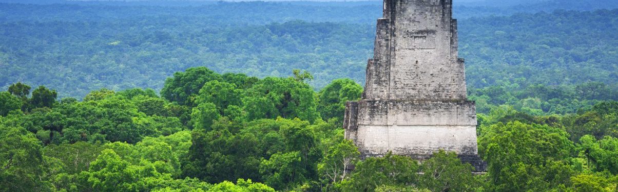 Canopy Tikal Guatemala