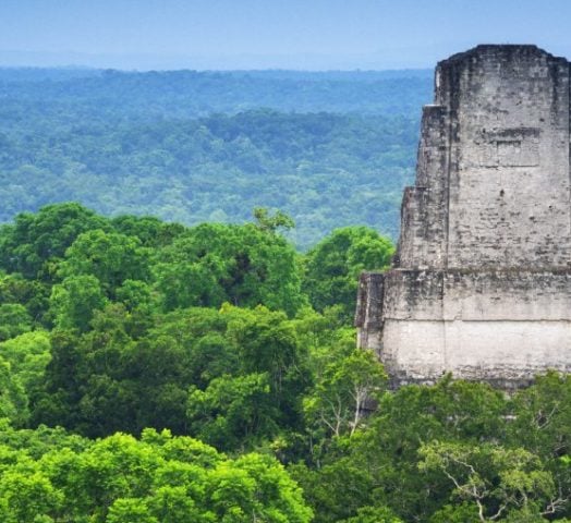 The lush green canopy with ancient Mayan ruins raising from the trees in Tikal, Guatemala